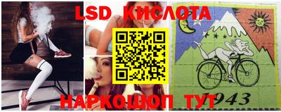 шишки Изобильный