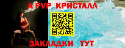 шишки Изобильный