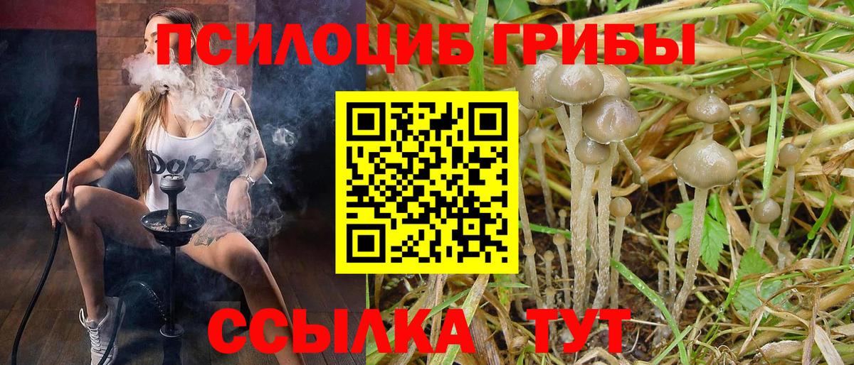 купить наркотик  Псилоцибиновые грибы мухоморы  Вход с VPN  Лабытнанги  Псилоцибиновые грибы мухоморы 