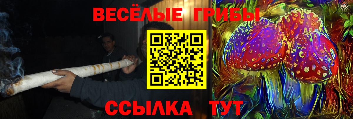 Галлюциногенные грибы мицелий Лабытнанги